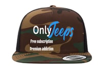 Image 3 of MrLiveBest OnlyJeeps Free Subs Camo Hat