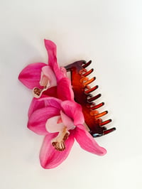 Image 2 of double pink cymbidium orchid claw (sample)