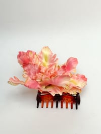 Image 2 of parrot tulip claw (sample)