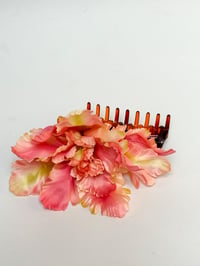 Image 1 of parrot tulip claw (sample)
