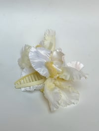 Image 1 of xl buttercup white iris claw (sample)