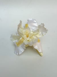 Image 2 of xl buttercup white iris claw (sample)