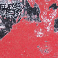 Image 2 of SULFURIC CAUTERY "KILLING SPREE" 12" LP