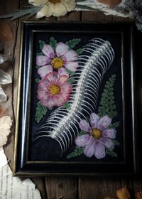 Image 5 of Snake Spine and Floral Wall Frame