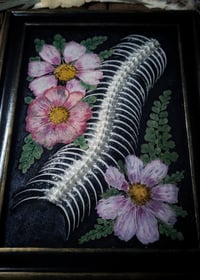 Image 4 of Snake Spine and Floral Wall Frame
