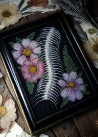 Image 3 of Snake Spine and Floral Wall Frame