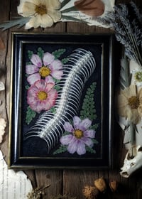 Image 1 of Snake Spine and Floral Wall Frame