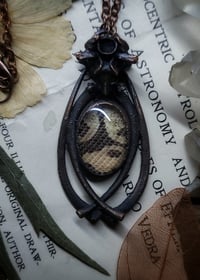 Image 4 of Snake Skin and Bone Amulet - Ball Python