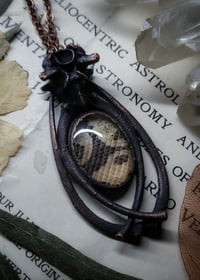 Image 2 of Snake Skin and Bone Amulet - Ball Python