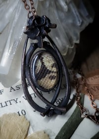 Image 5 of Snake Skin and Bone Amulet - Ball Python