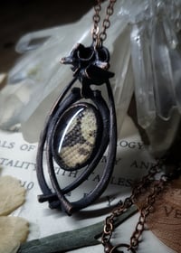 Image 3 of Snake Skin and Bone Amulet - Ball Python