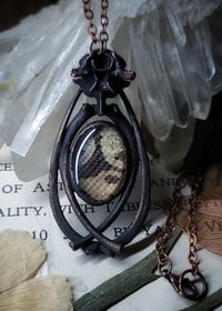 Image 1 of Snake Skin and Bone Amulet - Ball Python
