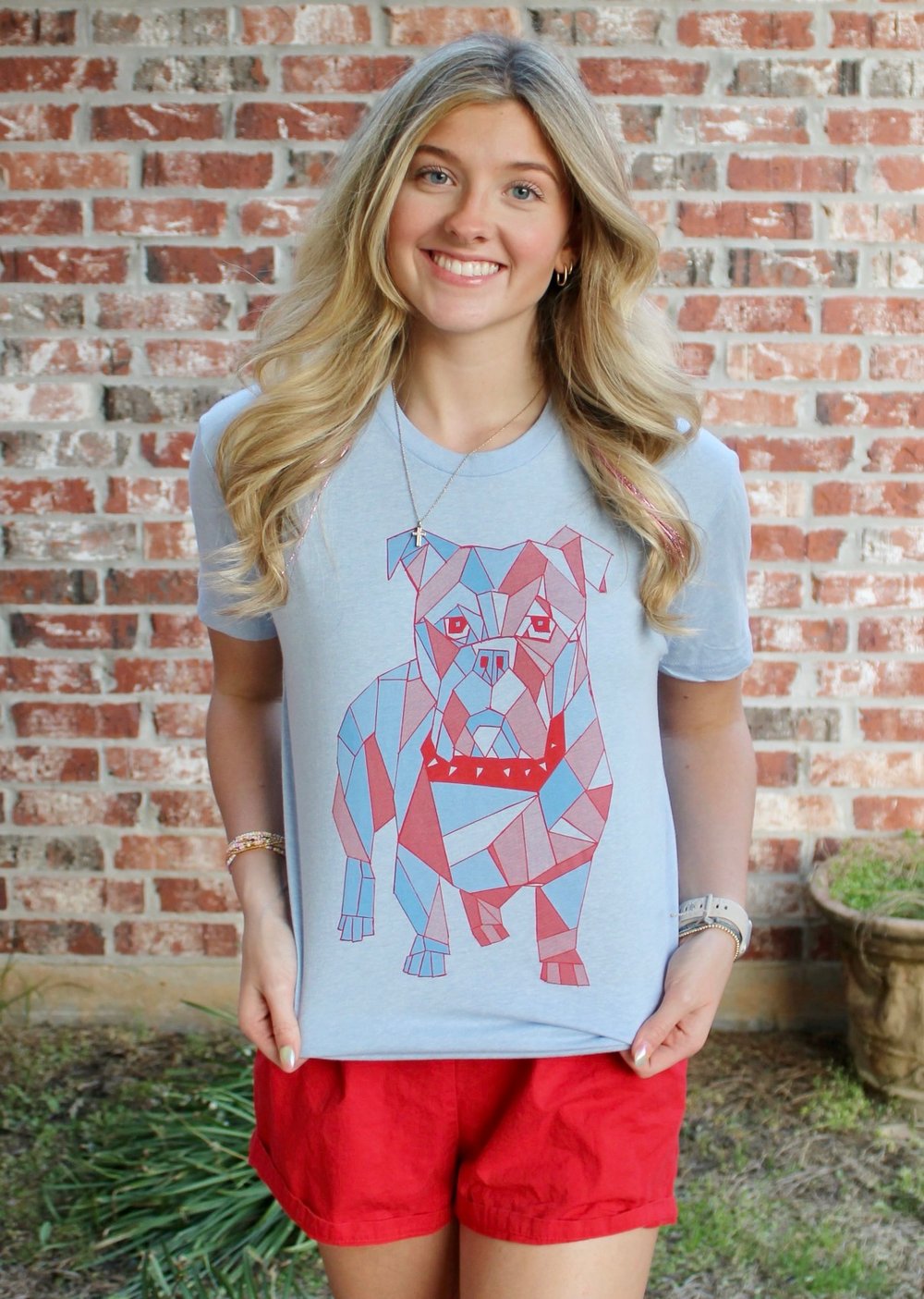 Image of Adult Mosaic Bulldog on Carolina Blue 