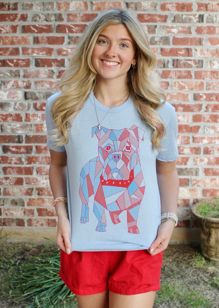 Image of Adult Mosaic Bulldog on Carolina Blue 