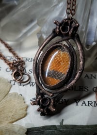 Image 5 of Snake Skin and Bone Amulet - Milksnake