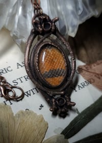 Image 3 of Snake Skin and Bone Amulet - Milksnake