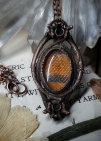 Image 1 of Snake Skin and Bone Amulet - Milksnake