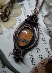 Image 2 of Snake Skin and Bone Amulet - Milksnake