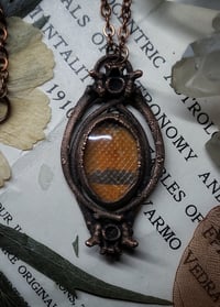 Image 4 of Snake Skin and Bone Amulet - Milksnake