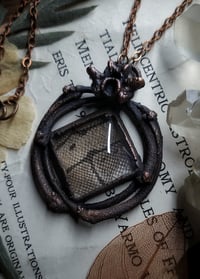 Image 2 of Snake Skin and Bone Amulet