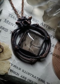 Image 4 of Snake Skin and Bone Amulet