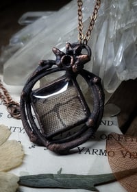 Image 5 of Snake Skin and Bone Amulet