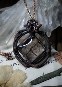 Image 1 of Snake Skin and Bone Amulet