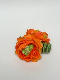 Image 1 of orange ranunculus claw (sample)