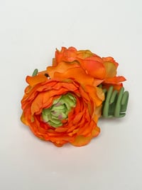 Image 2 of orange ranunculus claw (sample)