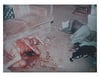 "Sharon Tate Murder" color print taken from the actual police negative