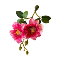 Image 7 of Hanging Plants and Flowers