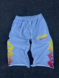 Grey Sweat Shorts