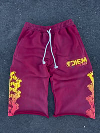 Burgandy Sweat Shorts