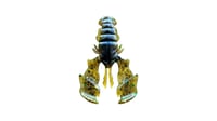 Image 4 of ARMATUS 65 (5pk)