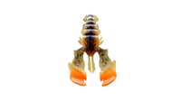 Image 3 of ARMATUS 65 (5pk)