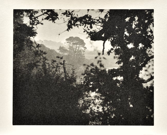 Walking down to grebe.