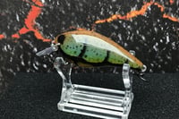 Image 4 of Squarebill LC 1.5 Crankbait  4812