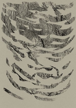 Image of Sans titre 9 / Série Décomposition Recomposition
