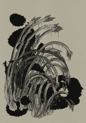 Image of Sans titre 12 / Série Décomposition Recomposition