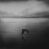 Image 1 of THE PERSISTENCE OF MEMORY