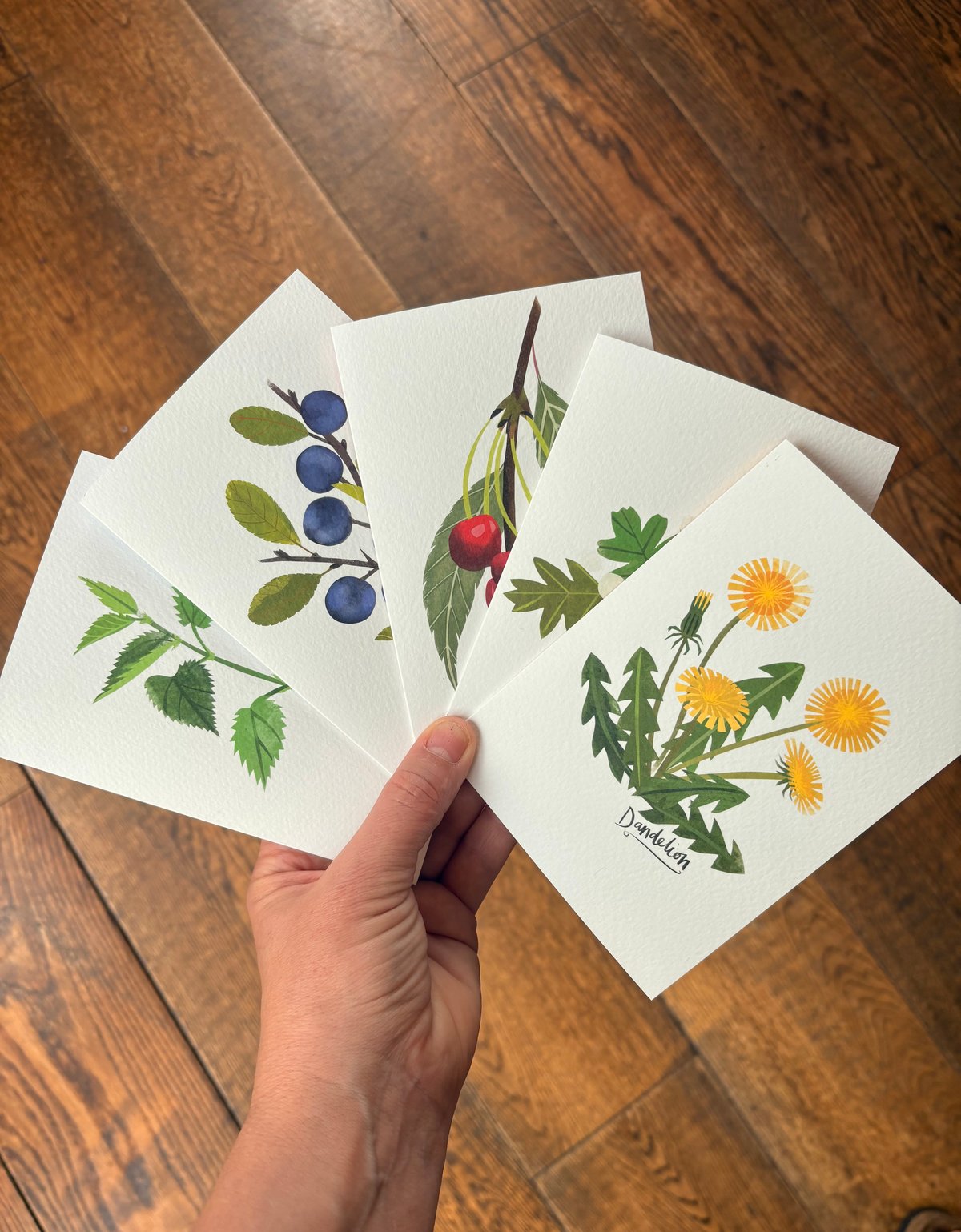 British Foraging Note Card Set - With Recipes