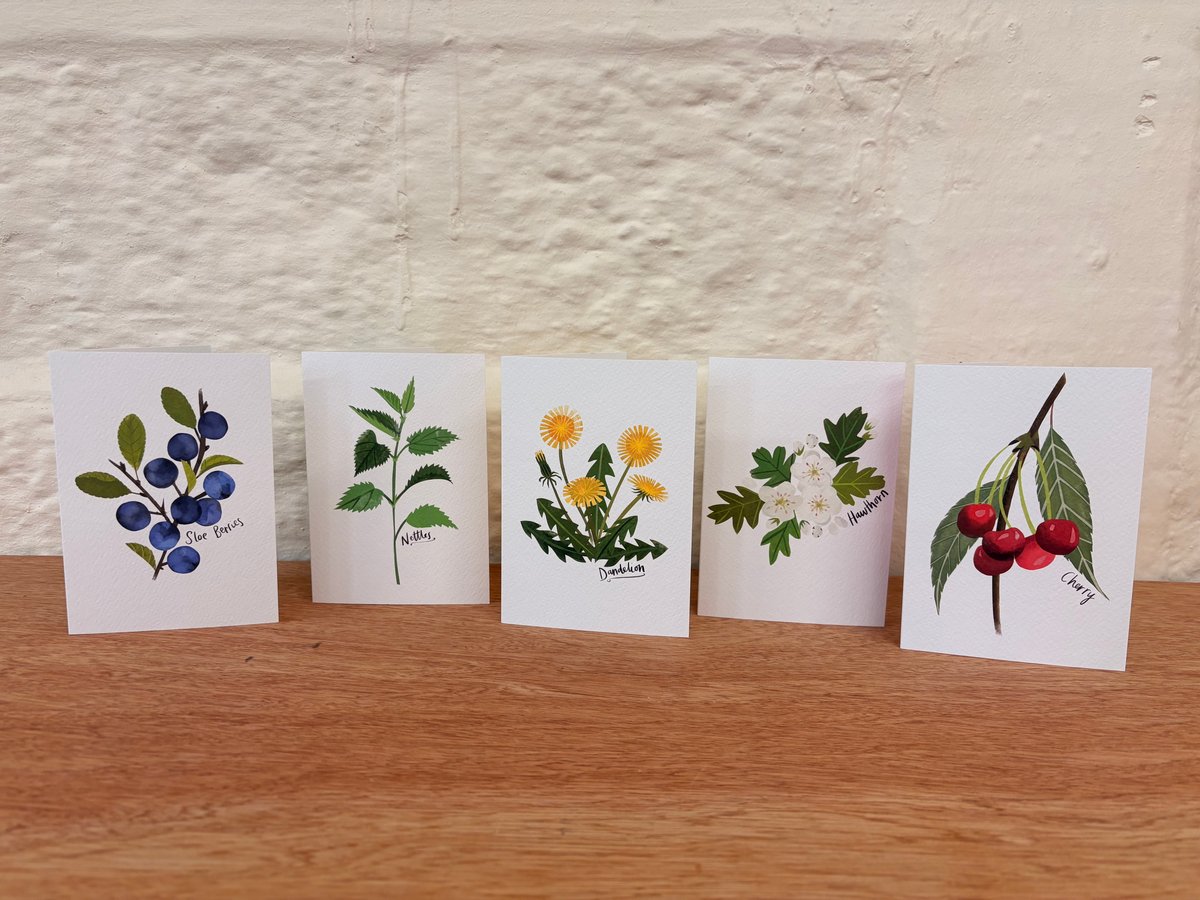 British Foraging Note Card Set - With Recipes