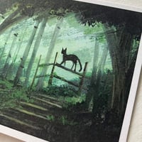 Image 5 of Badger Support Pack (with free shipping)