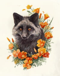 The Heart of the Matter - Silver Fox with Poppies