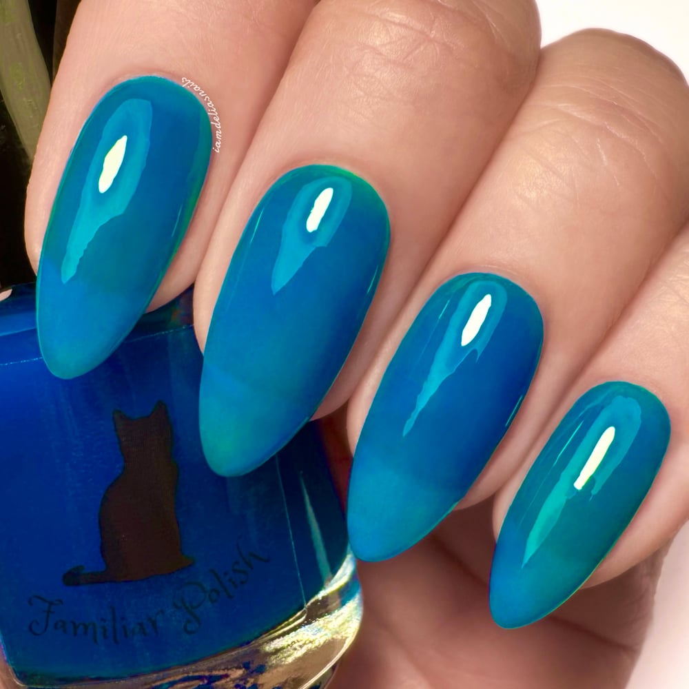 Image of Cyan Jelly 