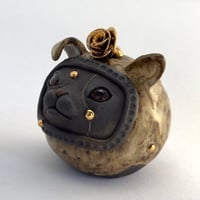 Image 2 of Coal