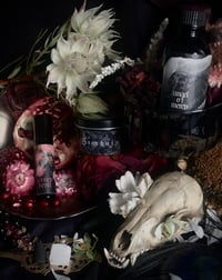 Image 1 of Archive Sale (Fruit Bat, Strawberry Moon, Garden Goth + more)