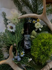 PRE ORDER ❁ Odin Perfume (Rock Rose, Tobacco, Flouve) 