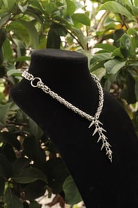 Image 4 of The Spineless Chain