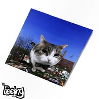 Image 3 of Fuuny Cats Restock *preorder*